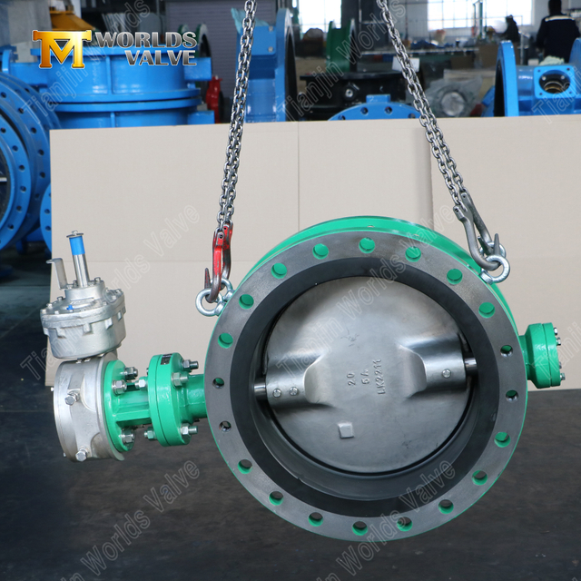 مزدوجة الإزاحة مزدوجة المرحلة الفولاذ الفولاذ صمام مع مقعد ebonite | حلول مخصصة OEM و ODM