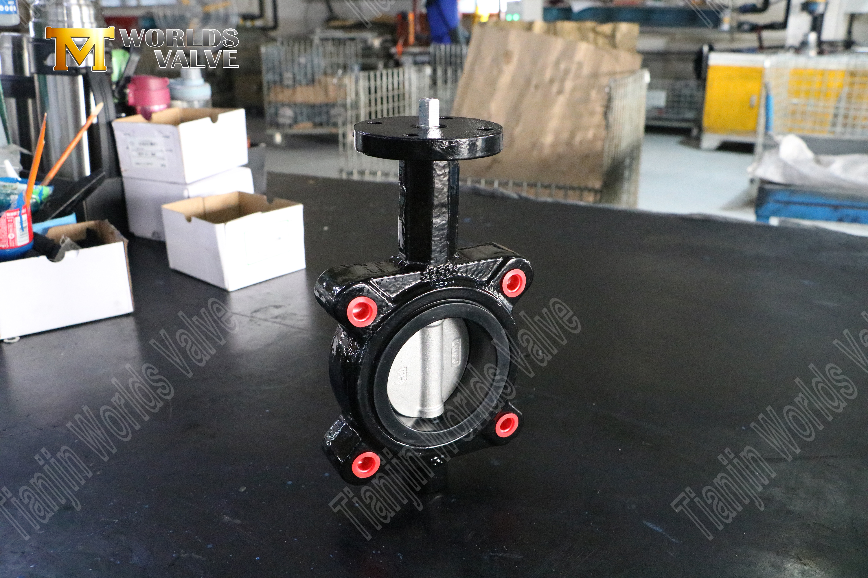 صمام الفراشة مقعد EPDM مع CF8M DISC-LUG TYPE BUTTFLY VALVE MANINGERING-1 (3)