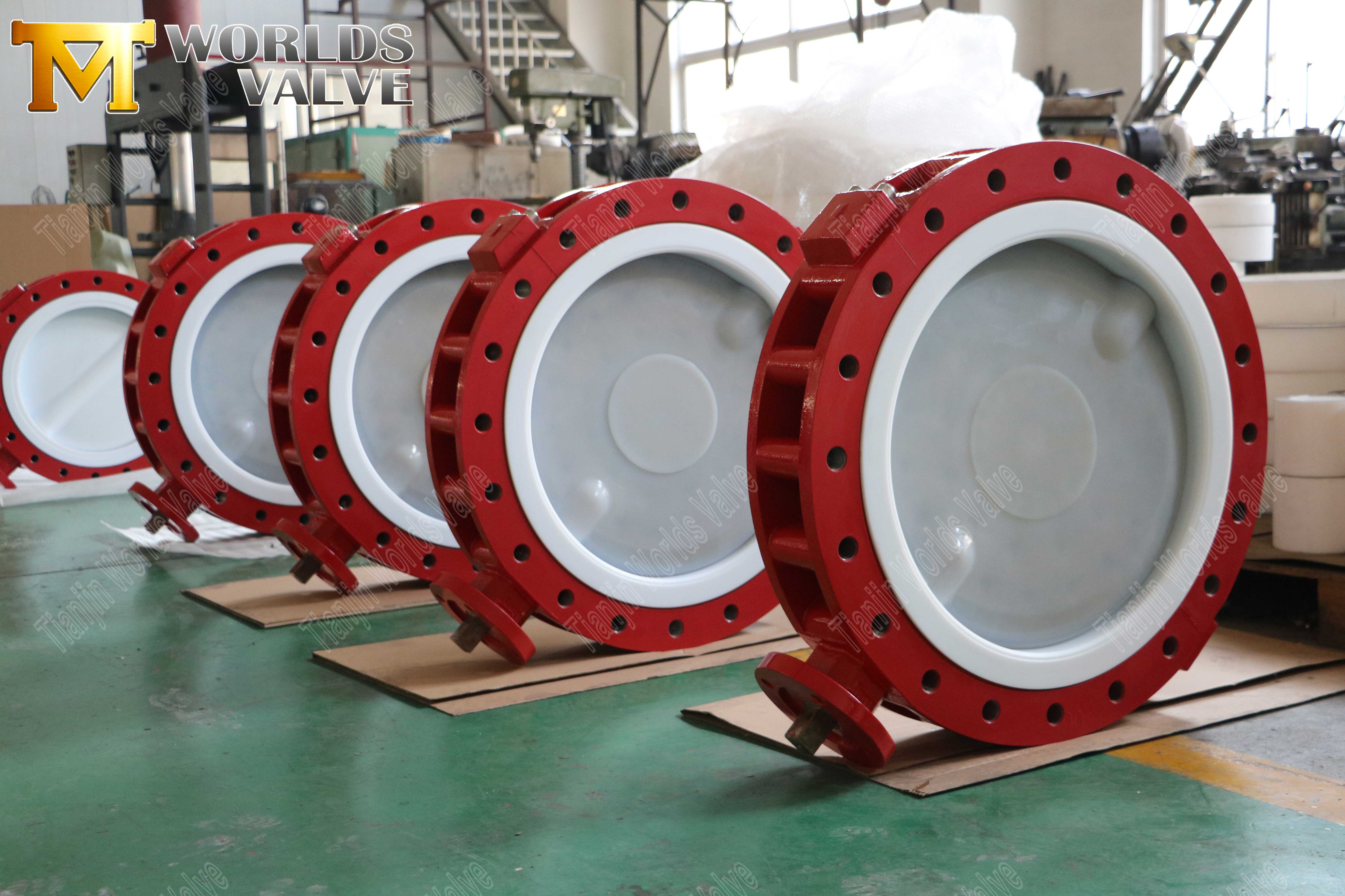 SS-DISC-With-PFA-butterfly-valve-with-split-body