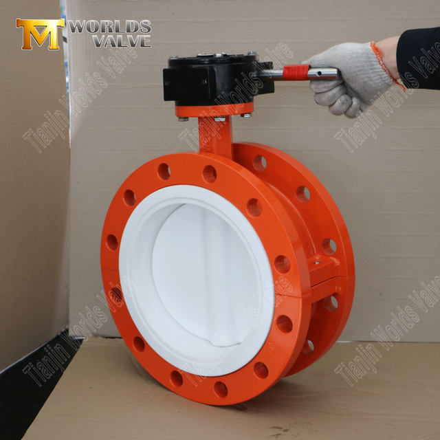 صمام فراشة PTFE ذو حواف مكون من قطعتين DN600 مزود بهيكل وتروس WCB يعمل
