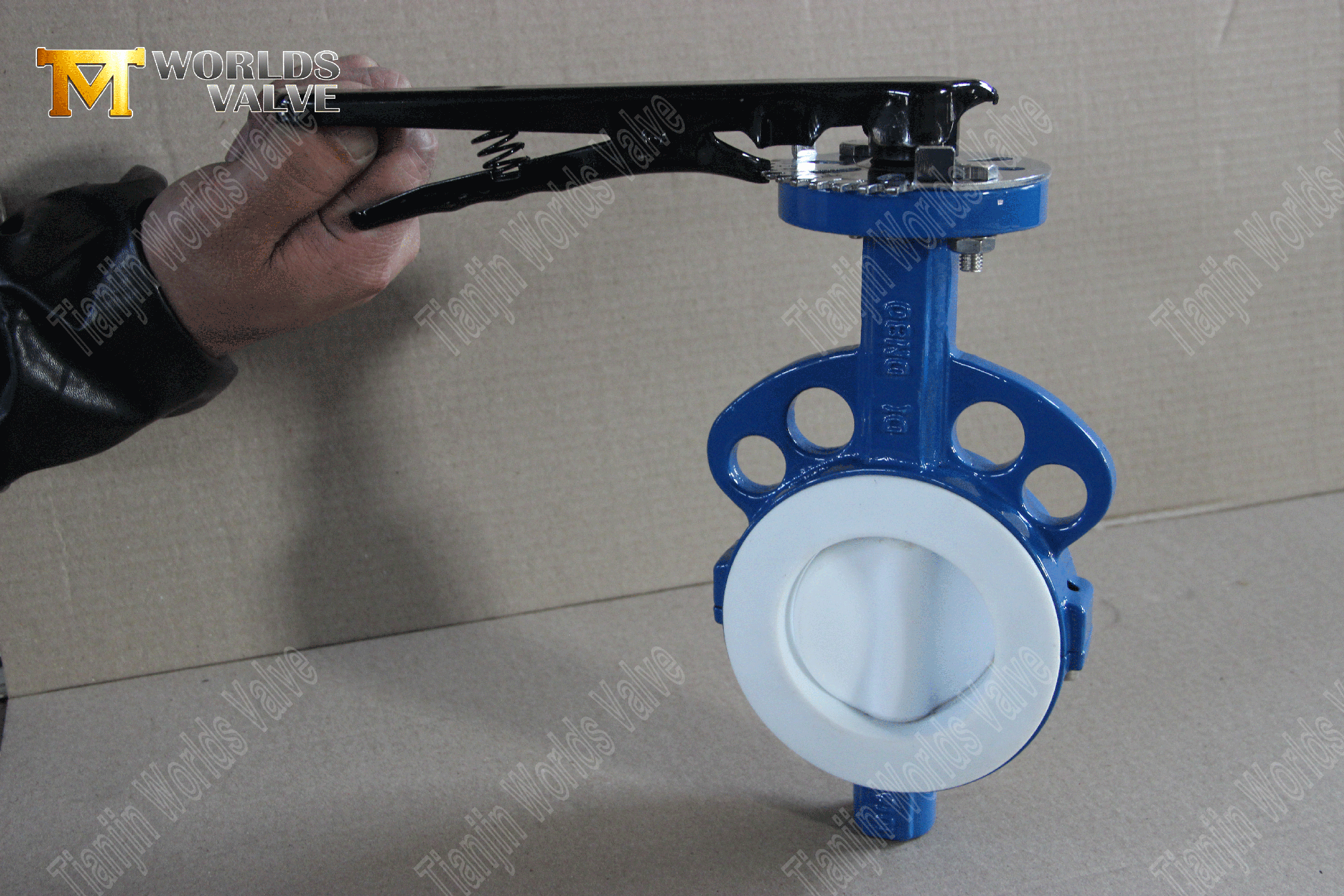 PTFE-تصطف على الأرض-صمام الشرير-(6)