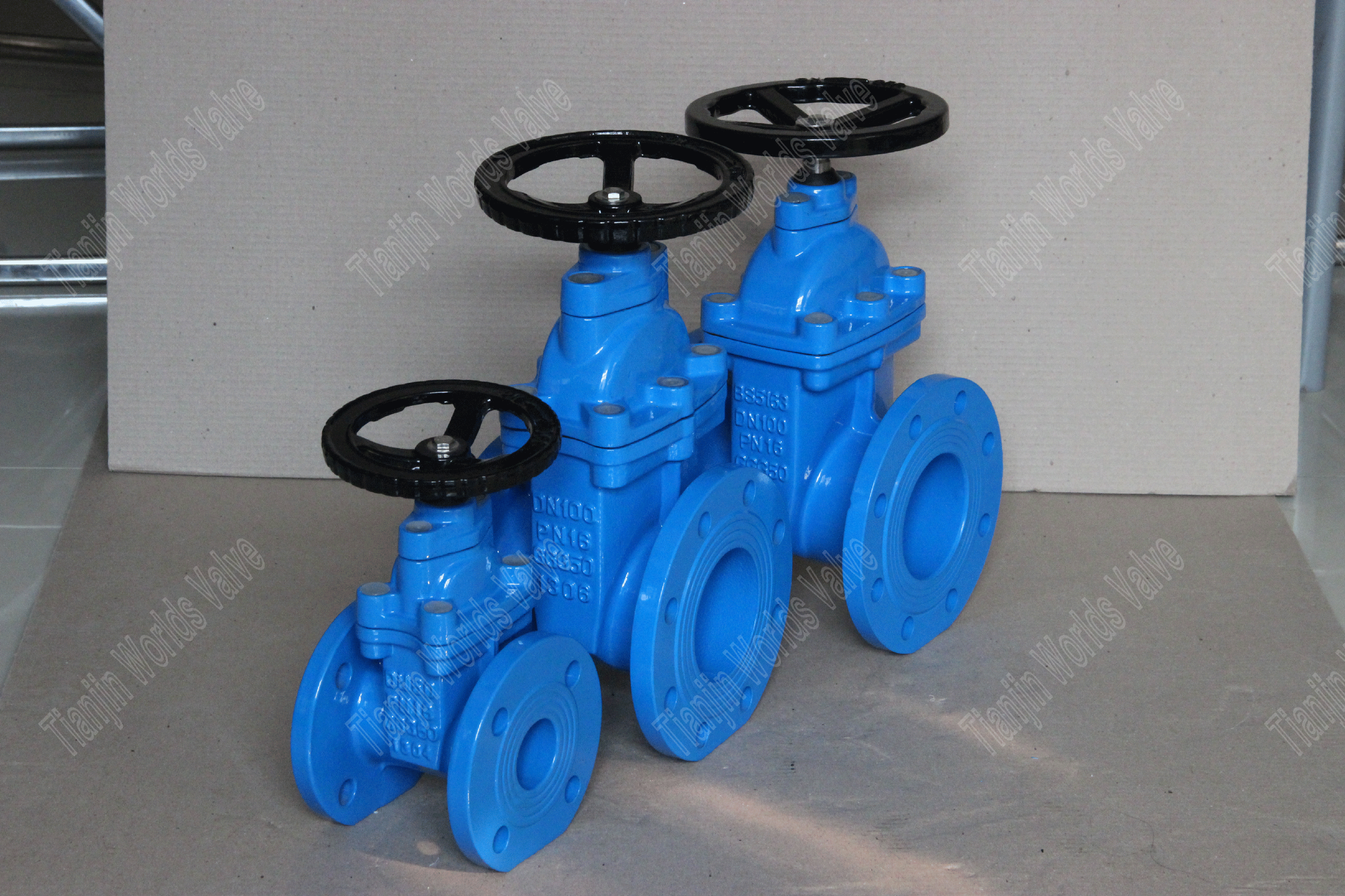 BS5163 EPDM جالس دي دي صمامات البوابة الجذعية غير المرتفع (6)