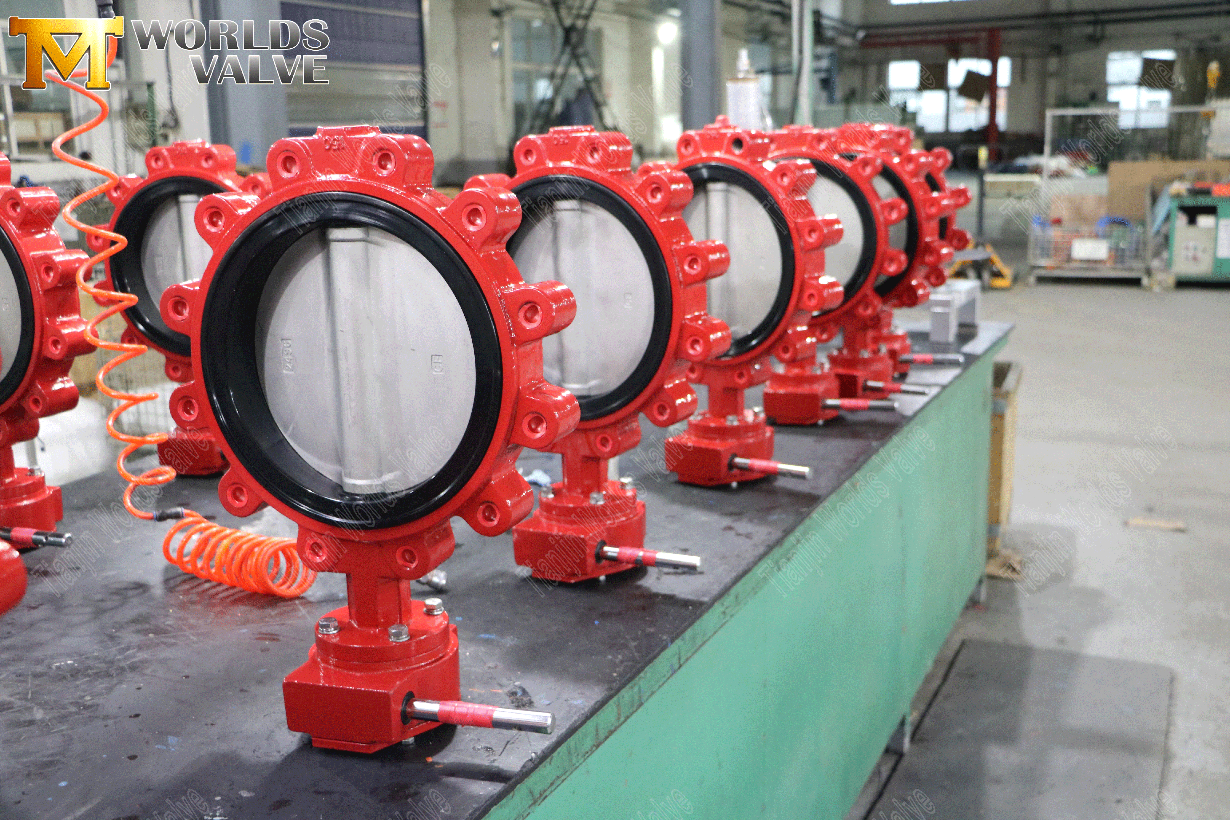 Lug Butterfly Valve Vance-Futterfly Valve مع مقعد مطاطي مرن وعلبة التروس -2 (3)