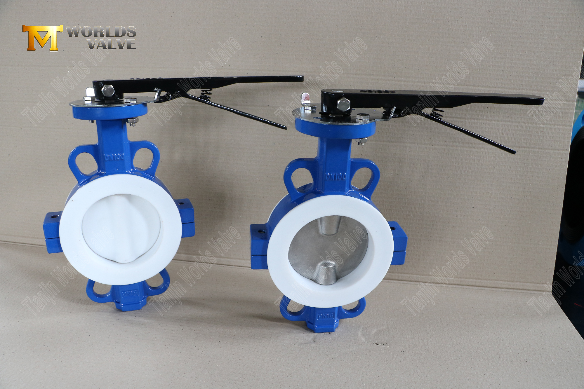 DN100-TEFLON-SPLIT-SPLIT-BUSTERFLY-VALVES-السيطرة المقاومة للتورط-السيطرة (9)