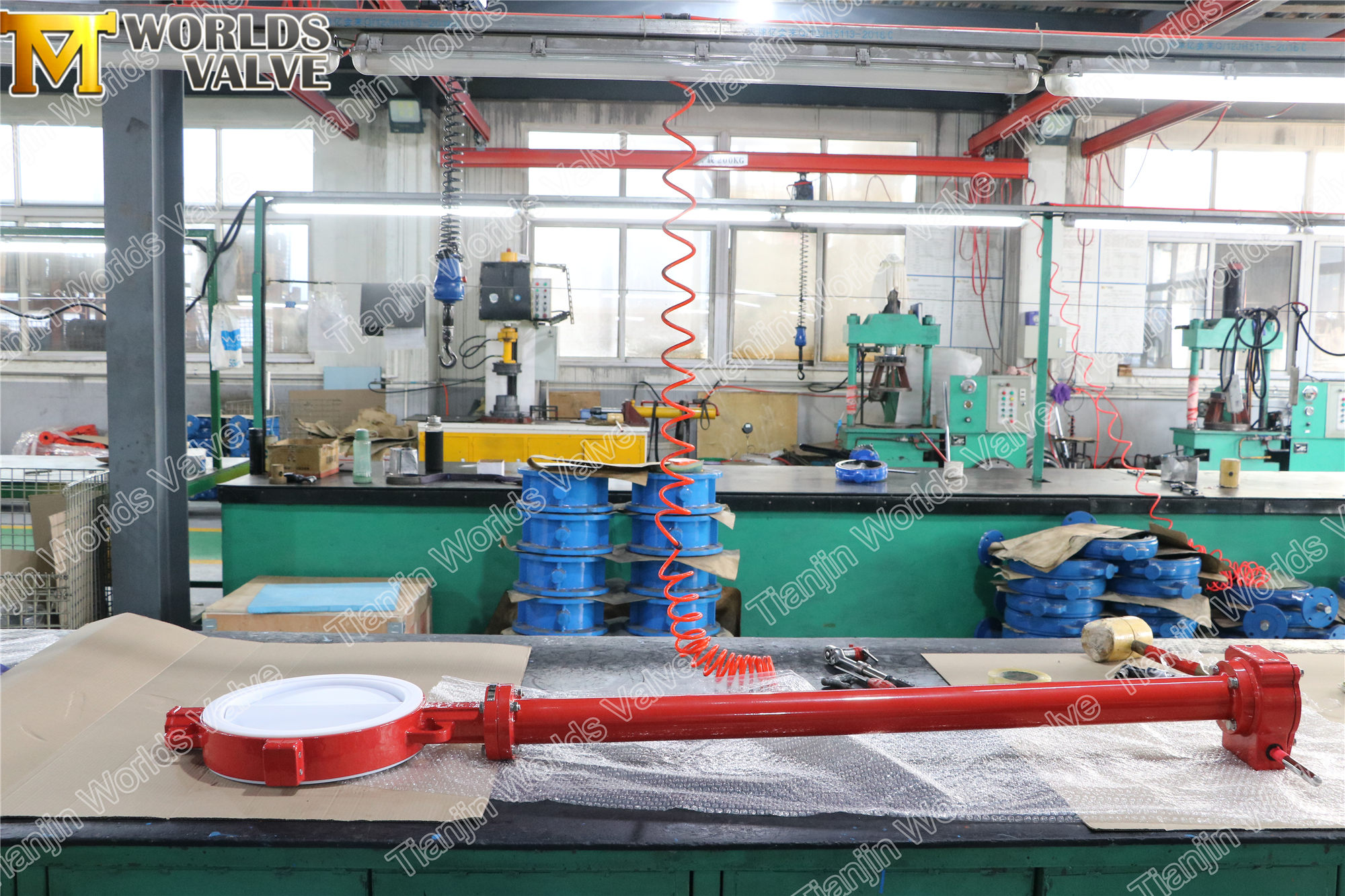 صمام الفراشة المبطن PTFE مع ساق التمديد (1)