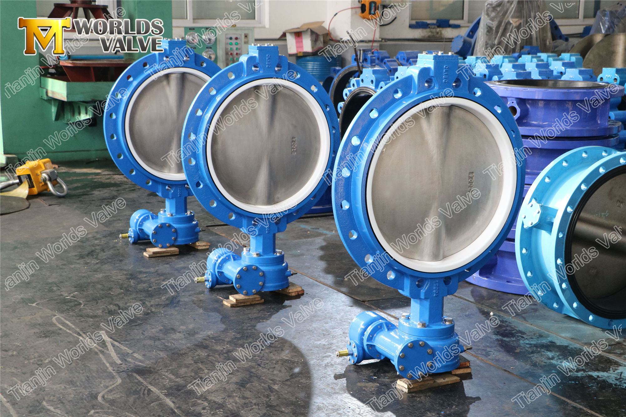 4 صمام نوع رقاقة الويفر واحد متحدة المركز