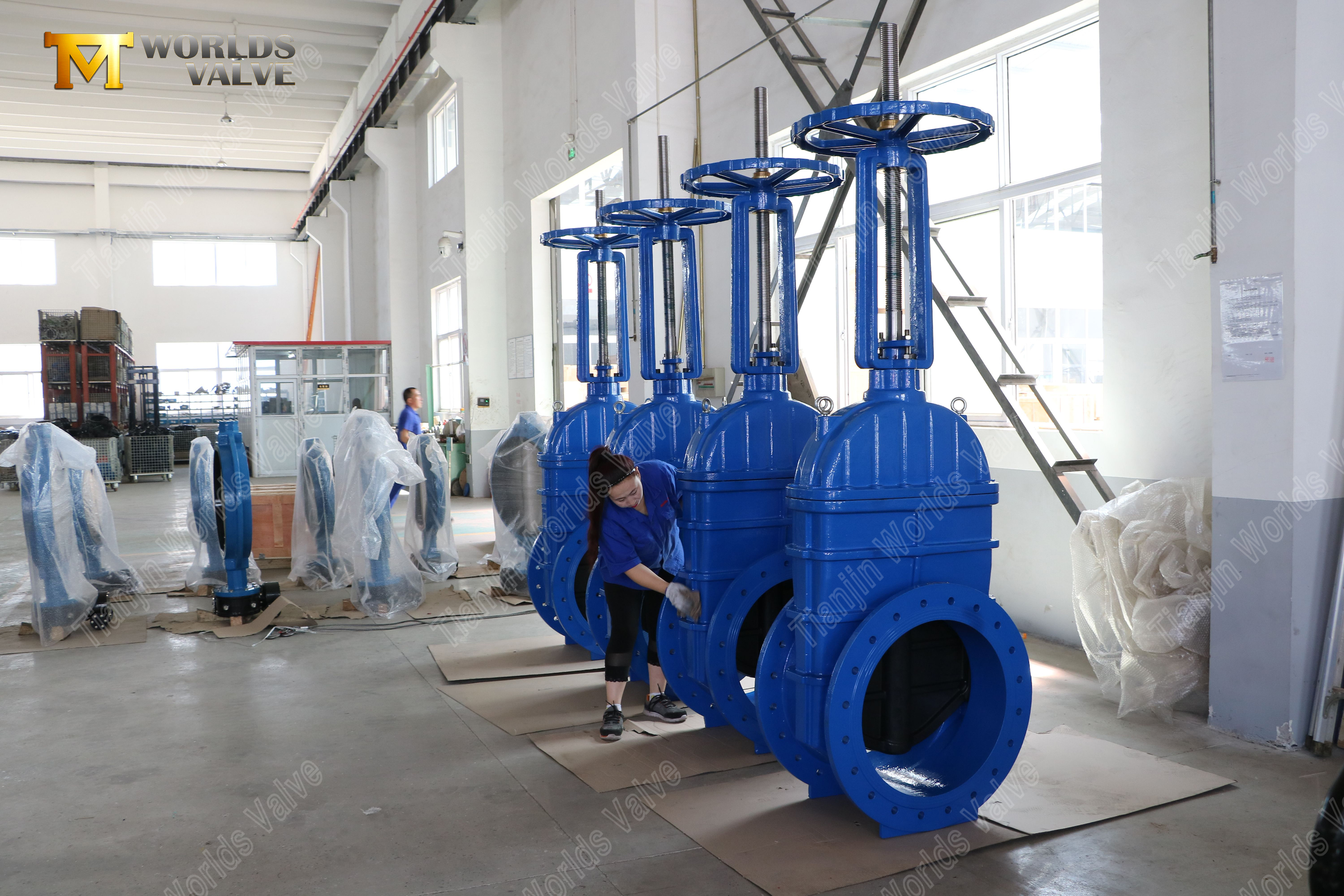 صمام بوابة جذعي مرتفع ذو حواف مع مقعد EPDM ومشغل علبة التروس (6)