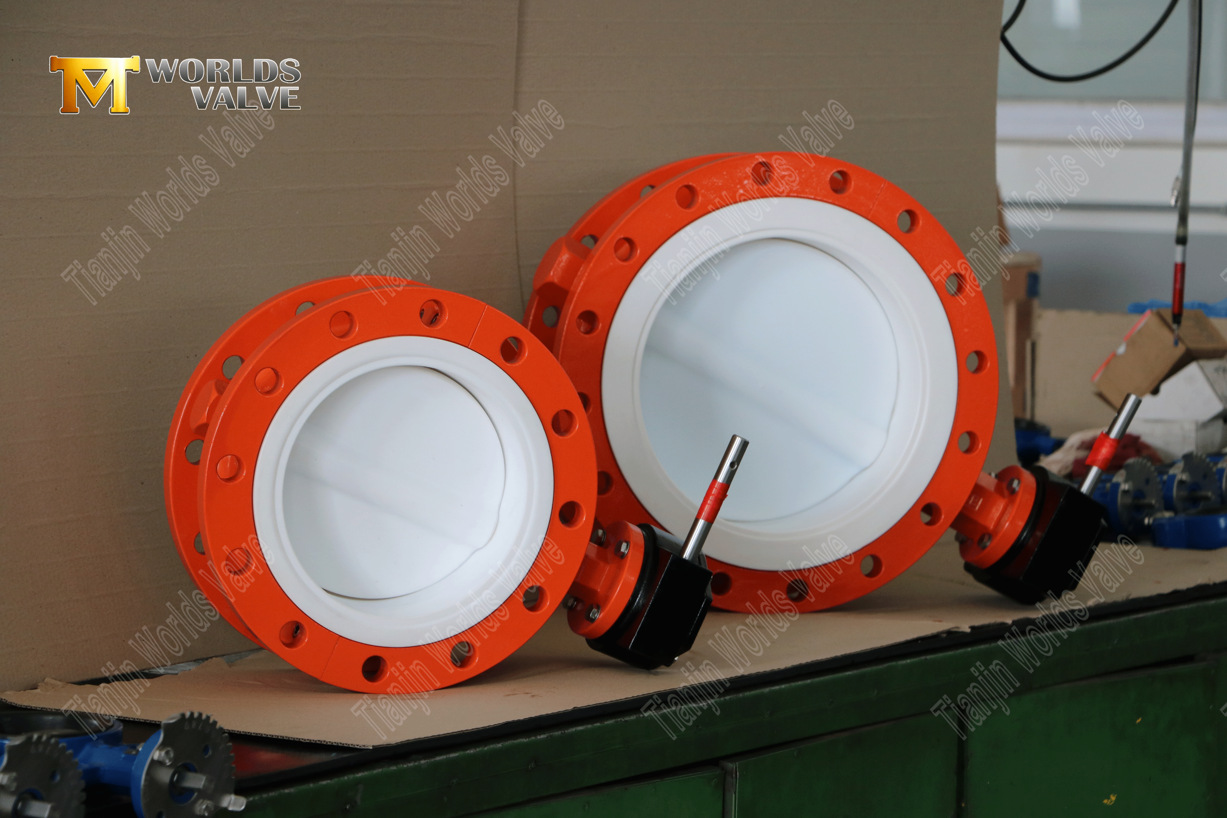 ترس دودة مزدوج الحواف ptfe صمامات فراشة (5)