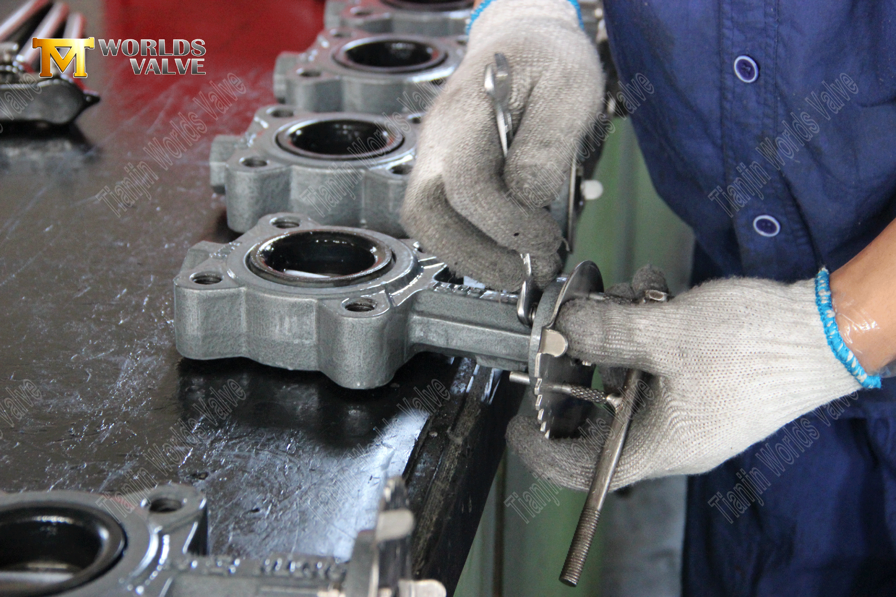 OEM ODM Valve Manufaction-Lug Style Resilient Resilient Butterfly Valves (5)