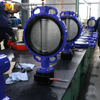 صمام فراشة الويفر مقاس 6 بوصة - فئة 150، قرص CF8M، مقعد EPDM