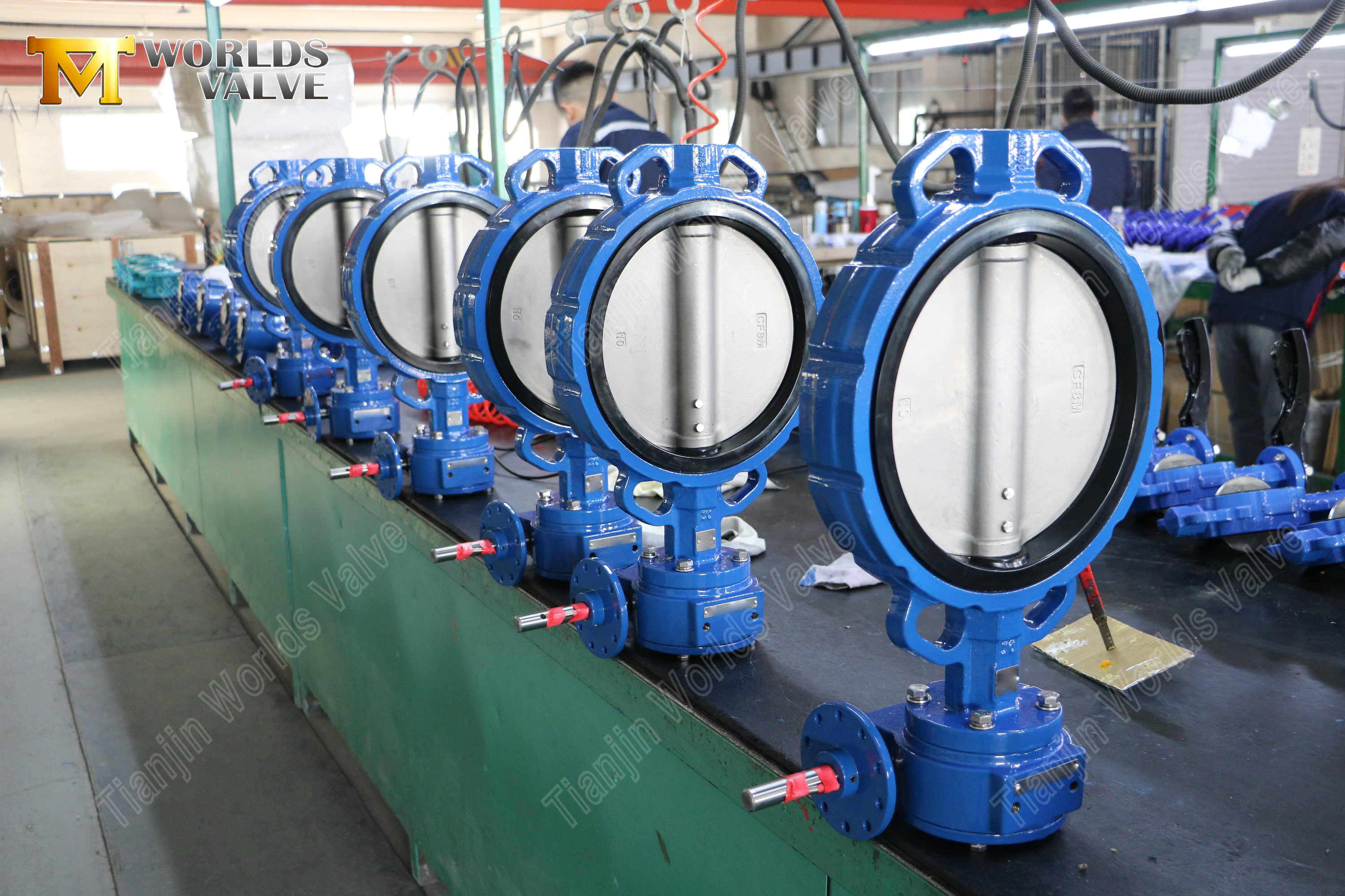 صمام فراشة الويفر مقاس 6 بوصة - فئة 150، قرص CF8M، مقعد EPDM (7).jpg