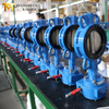 صمام الفراشة الويفر الذي يعمل بالتروس – مقعد EPDM قابل للاستبدال، PN10