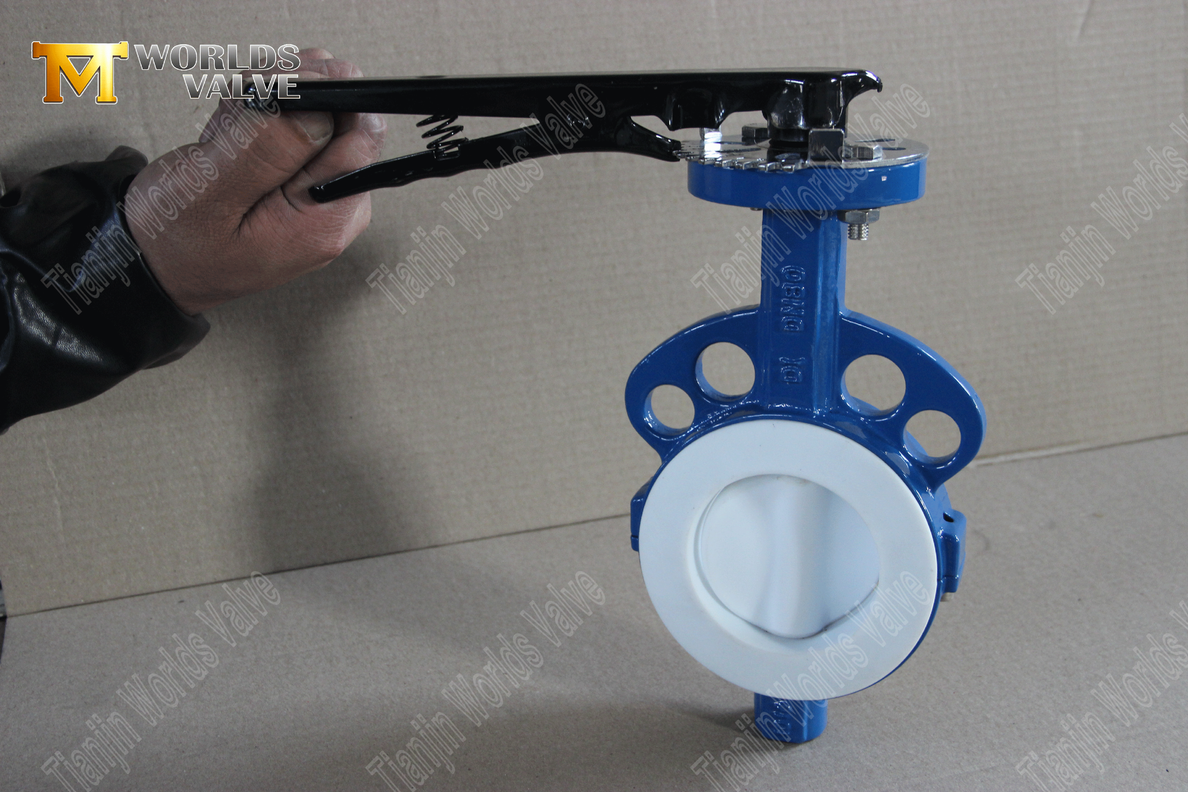 صمام الفراشة بسكويت الويفر PTFE - قرص مغلف PTFE، الفئة 150، الشركة المصنعة للمعدات الأصلية (3).png