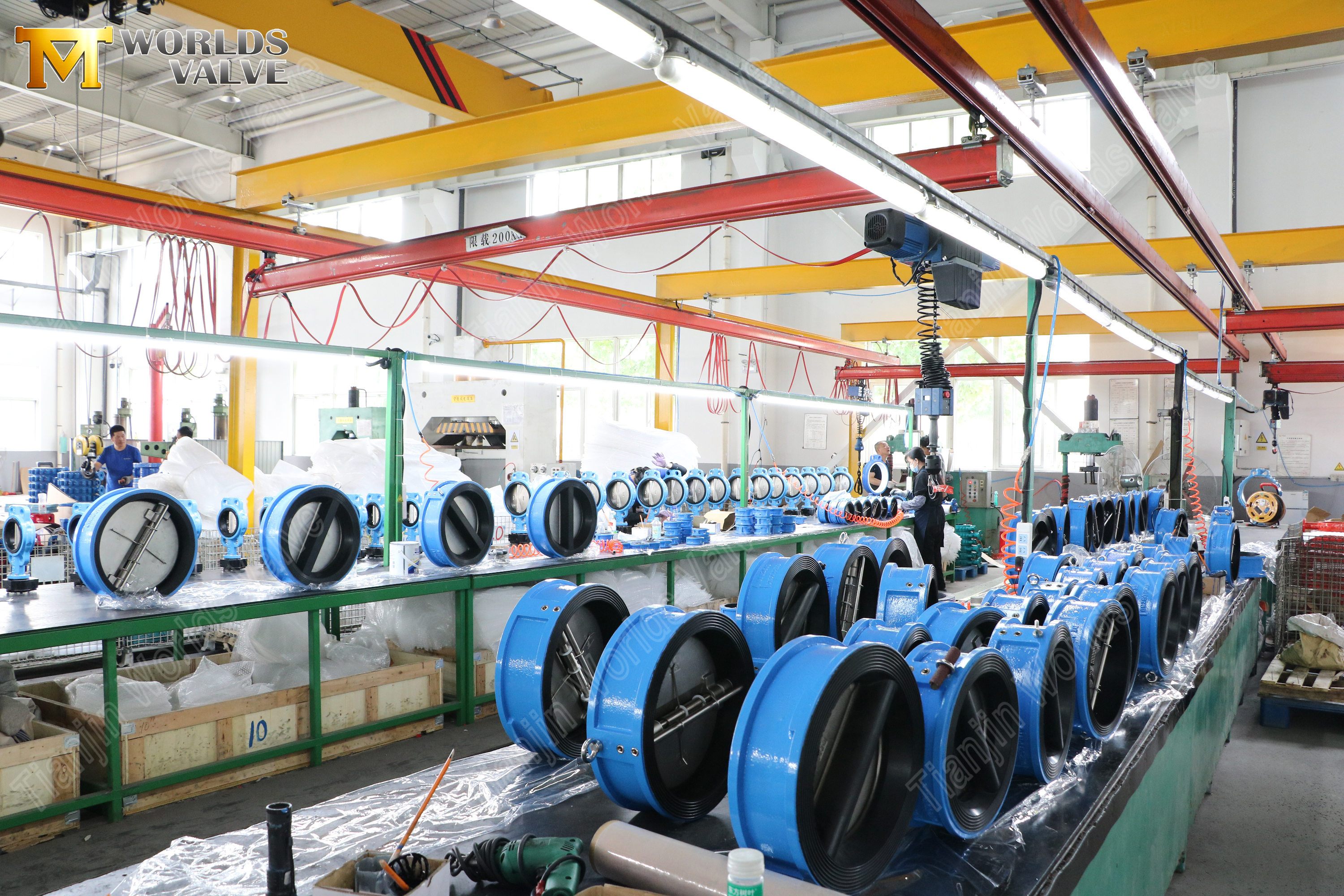 صمام فحص مزدوج اللوحة، مبطن بالمطاط، 4 (6).jpg