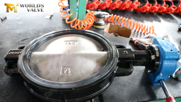 14-Inch-Wafer-Butterfly-Valve–Compact-Design,-Easy-Maintenance-1.jpg