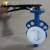 صمام الفراشة برقاقة PTFE - قرص مغلف PTFE، الفئة 150، الشركة المصنعة للمعدات الأصلية