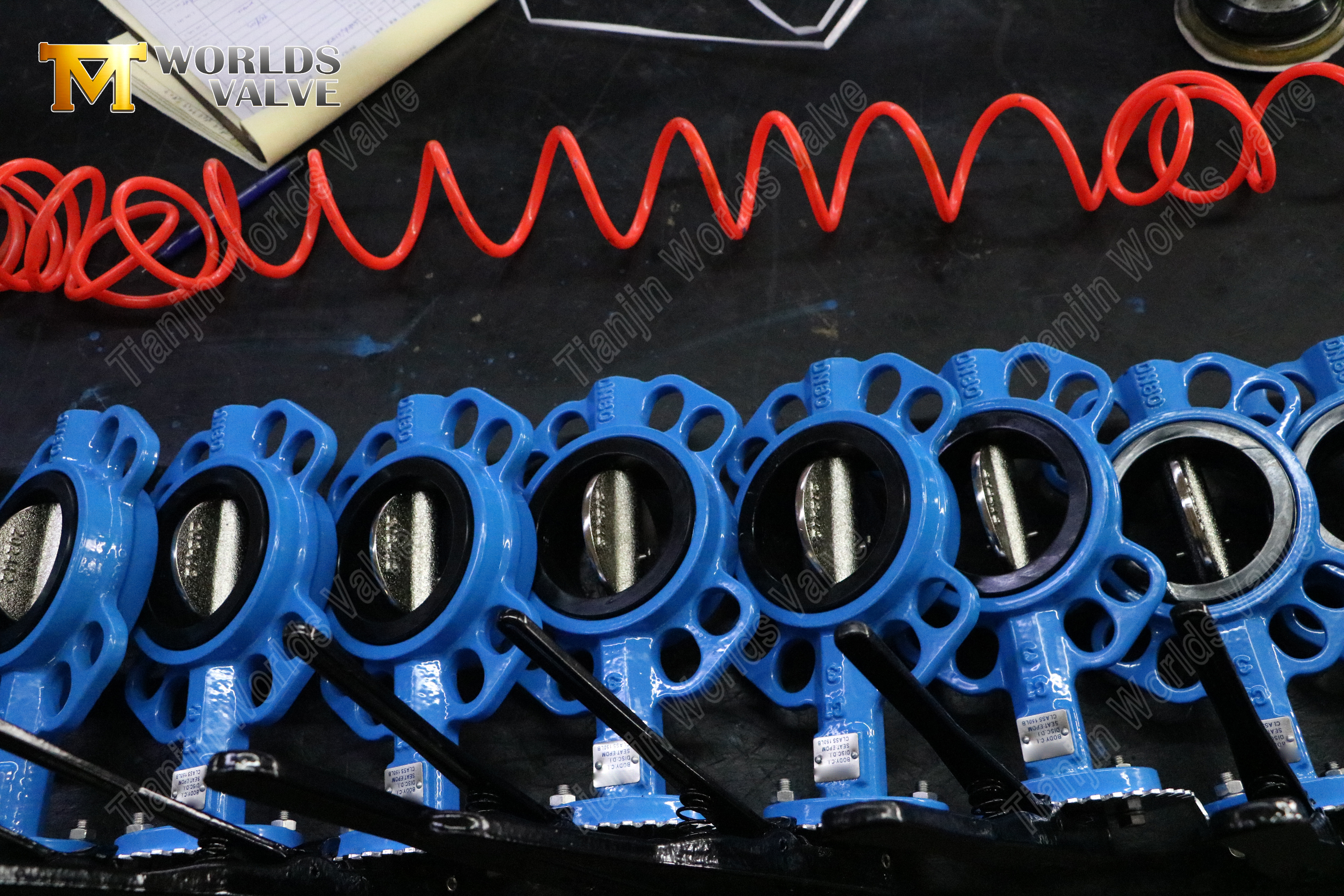 صمام فراشة الويفر مقاس 6 بوصة - فئة 150، قرص CF8M، مقعد EPDM (9).jpg