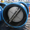صمام فحص الرقاقة ثنائي اللوحة – جسم مبطن بـ EPDM، قرص CF8M، PN10، الشركة المصنعة للمعدات الأصلية
