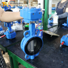 صمام الفراشة الويفر الذي يعمل بالتروس – مقعد EPDM قابل للاستبدال، PN10